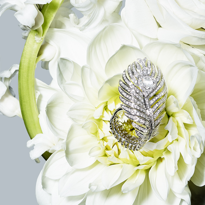 春、ダイヤモンドの変革 / Spring